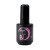 B-COLOR_wish-03.jpg